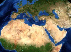 Based on the global weather data from the past 21 years, researchers have developed a model that allows them to calculate the optimal migration routes of migratory birds. It shows that the shortest flight time is not necessarily the result of the shortest route. The model also takes into account spatial and temporal changes in wind conditions.