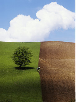 In modern agricultural landscapes, nature is often confined to 'isolated islands', which are inaccessible to many animals.