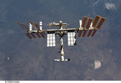 With the help of the international space station ISS, scientists want to track the migration of animals in the next few years.