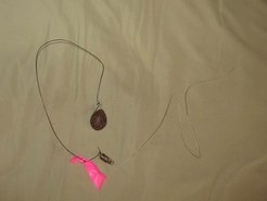 Tagged fruit: A seed with with an attached miniature radio tag with an antenna, as used by scientists to investigate the seed dispersal by agoutis in the tropical forests of Panama.