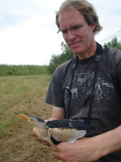 Wolfgang Fiedler at work in the field.