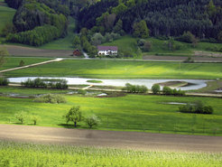 Der Heinz-Sielmann-Weiher in der Gemarkung Billafingen war einer der ersten neuen Lebensräume des Biotopverbundes Bodensee. Rund um den 1,3 Hektar großen Weiher mit angrenzenden Schilfflächen, Feuchtwiesen und Hecken leben zehn Jahre nach seiner Fertigstellung eine Vielzahl von Planzen- und Tierarten: 340 Blütenpflanzen, 33 Libellen, 25 Tagfalter, 23 Säuger, 14 Amphibien und 3 Reptilien. Die Zahl der Brutvogelarten stieg von 115 auf 179.