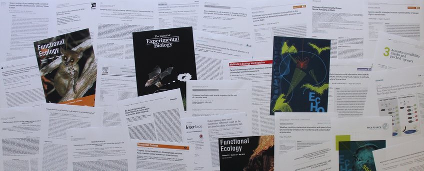 Publications of the group "Acoustic and Functional Ecology"