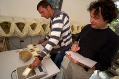 Preparing and weighing food for an experiment