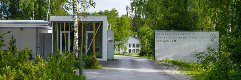 Copyright: Stefan Müller-Naumann Gebäude und Wand mit Beschriftung an einer schmalen Straße, Gebäude und Bäume im Hintergrund