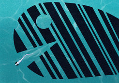 Zebrafish use global as well as local clues to perceive possible drifting. The local detection pathway may use a circuit that also enables the fish to detect predators and escape from them.