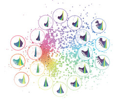 Zebrafish larvae can modulate the movements of their tail continuously. Nevertheless, computer algorithms were able to detect three defined motion patterns.