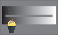 The bar in this contrast illusion is uniformly grey, even if the right side of the bar appears darker than the left. If the luminance of the grey bar now changes, both humans and flies see a motion illusion.