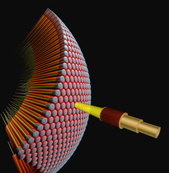 The fly brain recognizes and processes movements very quickly and accurately. Researchers have now combined two theoretical models on how nerve cells compute motion direction from light signals which successively reach adjacent facets of the eye.