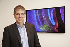 Tobias Bonhoeffer, Direktor am Max-Planck-Institut für Neurobiologie.