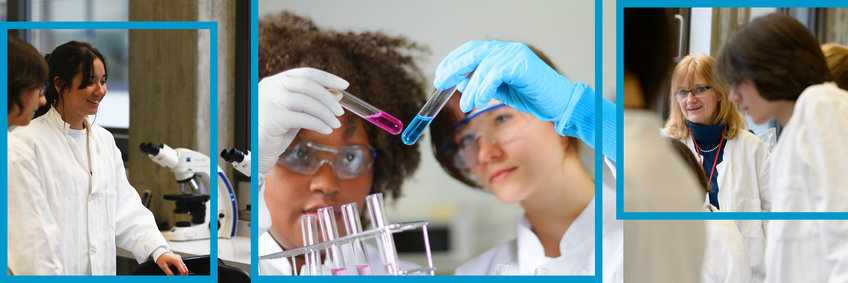 Image composed of three individual images with people in lab coats talking or looking at test tubes.