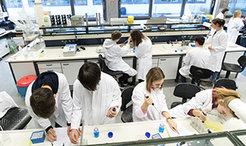 In the Max Planck Institutes' MaxLab, the ten best Bavarian participants of the International Biology Olympiad are able to deepen their knowledge of scientific methods through practice.