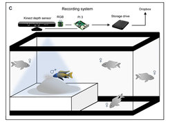 Recording system in Streelman's lab.