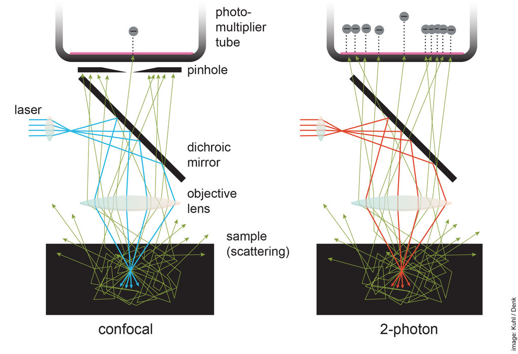 Photon 2 best sale