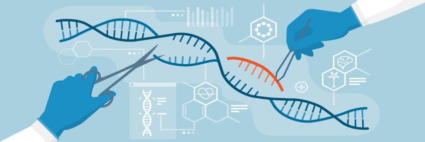 MaxLab Online-Kurs CRISPR/Cas9