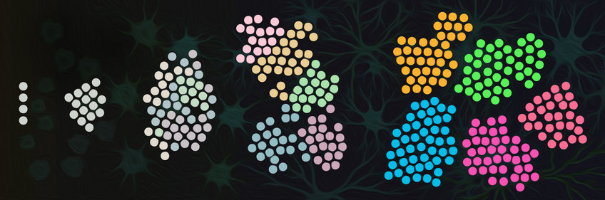 Neurogenomik Forschungsgruppe Neurogenomik
