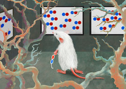 When mice look at nearby objects through 3D glasses, nerve cells in the RL region of their brain become active. The resulting image of the nearby, accessible environment may help to interact with nearby objects or other mice, for example.