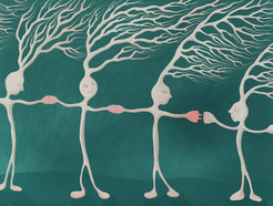 Omnipresent and yet hardly explored: Electrical synapses