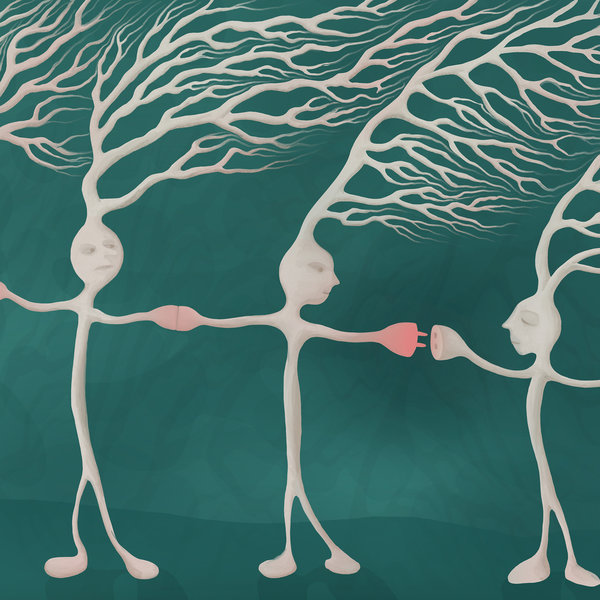 The dark matter of the brain