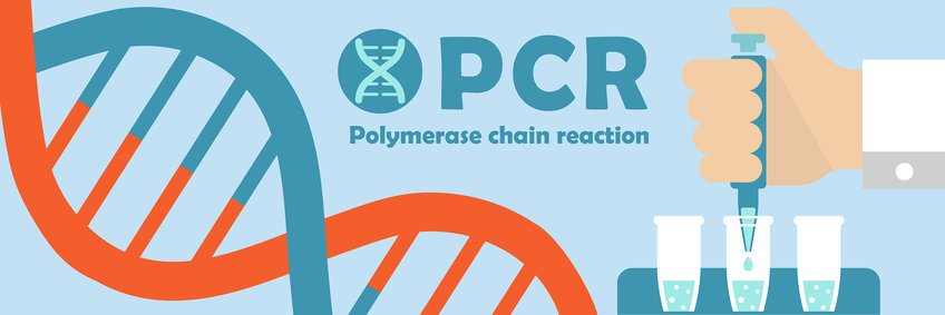 Illustration eines DNA-Moleküls und dreier Reaktionsgefäße, in die eine Hand eine Flüssigkeit pipettiert. Text: "PCR - Polymerase Chain Reaction"
