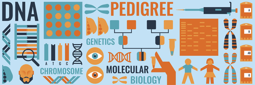 Collage mit Illustrationen unter anderem von DNA-Molekülen, Chromosomen, Stammbäumen, Pipette, DNA-Gel mit Bandemuster, Erbsenschoten.