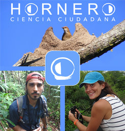 More than 1,200 people participated in the Citizen Science project, photographing more than 12,600 nests across the bird species' 4.8 million square meter range in South America.
