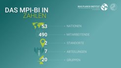 Das sind wir (in aller Kürze): Das MPI-BI (in Gründung) besteht derzeit aus ca. 490 Mitarbeitenden aus über 50 Nationen. In Martinsried, im Südwesten Münchens, und in Seewiesen, unserem Campus in der Nähe von Starnberg, sind unsere sieben Abteilungen, über 20 Forschungsgruppen sowie mehrere Servicegruppen angesiedelt. Hier forschen wir gemeinsam an spannenden Projekten zur biologischen Intelligenz. #biologischeIntelligenz