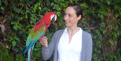 Auguste von Bayern from the Max Planck Institute for Biological Intelligence with a macaw in the breeding station of the Loro Parque Foundation. Since 2014, von Bayern has been leading the Comparative Cognition Research Group at the MPI and runs a research station on Tenerife where her team investigates the cognitive abilities of different parrot species comparatively, collaborating with the Loro Parque Foundation, which keeps the largest collection of parrots in the world.