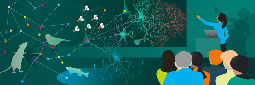 Emerging Scientist Series Gezeichnetes Headerbild mit Personen, Tieren und Nervenzellen