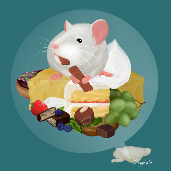 Drawing of a mouse, sitting on a piece of cheese amidst other fruits and pastries, chewing on a piece of chocolate.