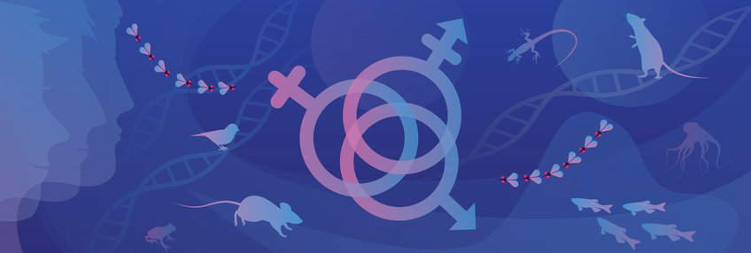 Gender & Diversity in Ecology and Neuroscience Seminar Series Gender & Diversity in Ecology and Neuroscience Seminar Series