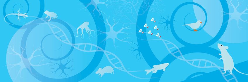 Illustration mit Silhouetten verschiedener Tiere, DNA-Moleküle und Spiralmuster.