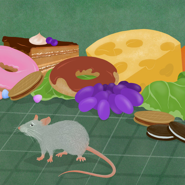 Mouse, who is feeling sick, stands in front of delicious food such as cheese, donuts, grapes and biscuits.