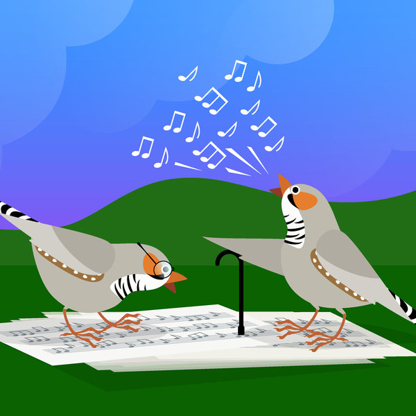 Two zebra finches with canes and glasses sit on sheet music and sing.
