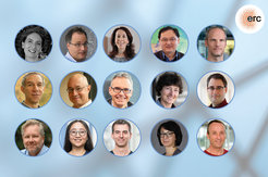 Die Max-Planck-Synergy-Grantees 2024 (von links oben bis rechts unten): Benedetta Ciardi, MPI für Astrophysik, Torsten Enßlin, MPI für Astrophysik, Alessandra Buonanno, MPI für Gravitationsphysik, Xinliang Feng, MPI für Mikrostrukturphysik, Axel Kleinschmidt, MPI für Gravitationsphysik, Joël Ouaknine, MPI für Softwaresysteme, Florian Luca, MPI für Softwaresysteme, Angel Rubio, MPI für Struktur und Dynamik der Marterie, Petra Schwille, MPI für Biochemie, Alexander Herbig, MPI für evolutionäre Anthropologie, Herwig Baier, MPI für biologische Intelligenz, Jennifer Li und Drew Robson, MPI für biologische Kybernetik, Aneta Koseska, MPI für Neurobiologie des Verhaltens – CAESAR, Alec Wodtke, MPI für multidisziplinäre Naturwissenschaften.