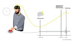 Scheme showing the Libet experiment