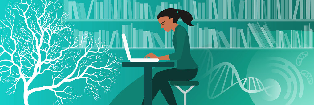 Drawing of a person sitting at a computer in front of a large bookcase.