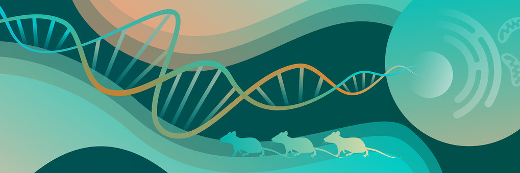 Drawing of a cell, a strand of DNA, and mice.
