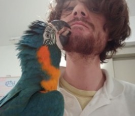 Physical Causal Cognition in Parrots Physical Causal Cognition in Parrots