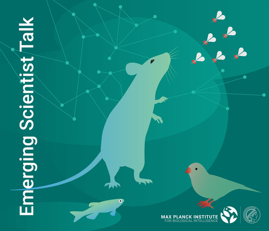 Molecular mechanisms of sensory innovation Molecular mechanisms of sensory innovation