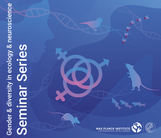 Phenotypic Bias in Human Neuroscience Methods: Creating an Equitable Research Field Phenotypic Bias in Human Neuroscience Methods: Creating an Equitable Research Field