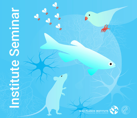 Developing tools for human neuroscience Developing tools for human neuroscience